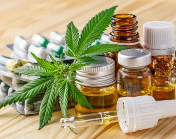 Guía del cannabis medicinal: Lo que hay que saber antes de dar los siguientes pasos